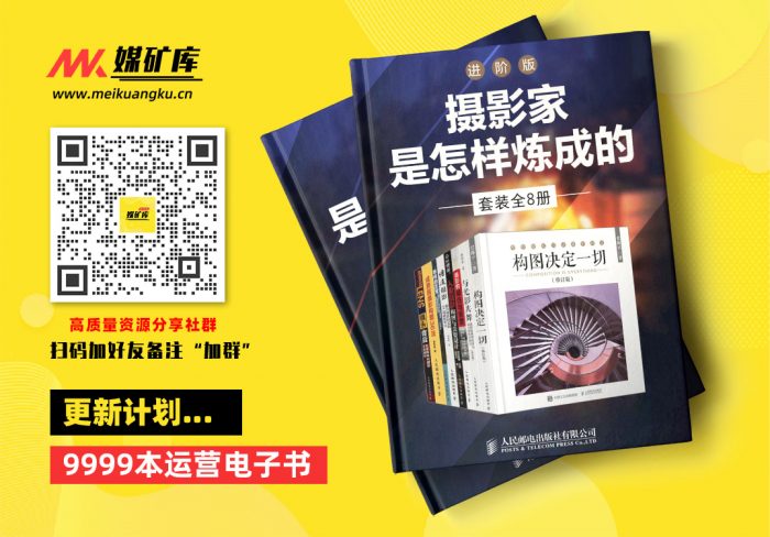 摄影家是怎样炼成的-进阶版（套装全5册）【培养摄影师的眼力！提升作品的感染力！】-by-孙晓岭--陈建强--史林平--王永辉--格林·戴维斯|媒矿库