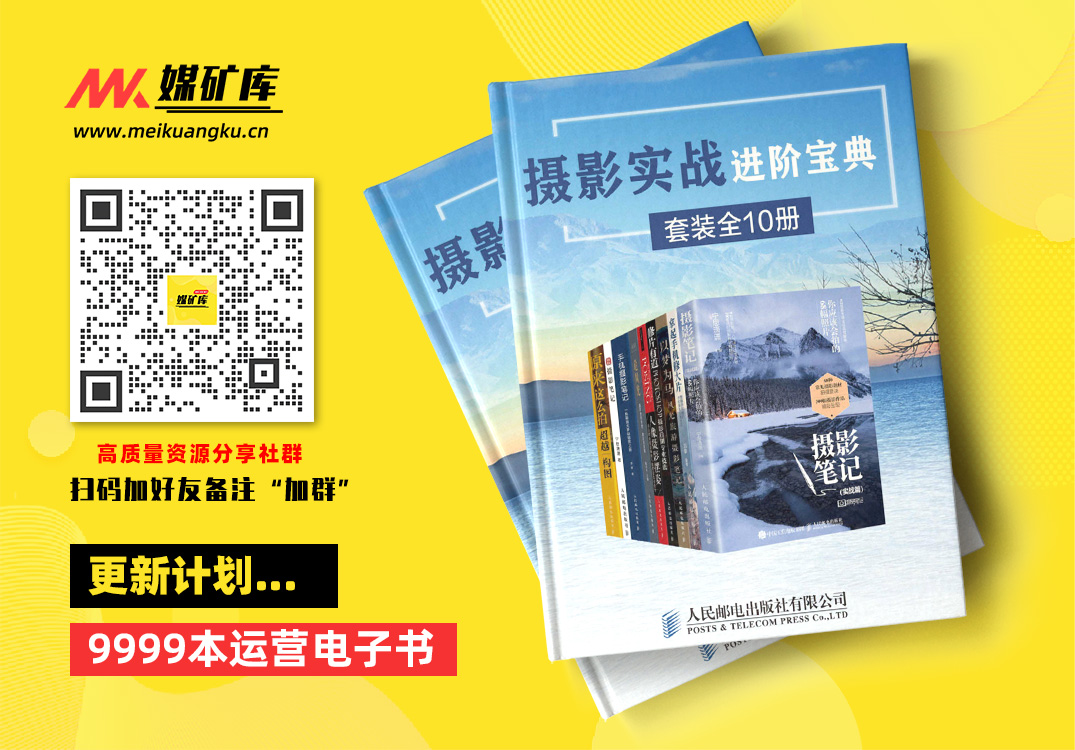 摄影实战进阶宝典（套装全10册)-by-张千里--中国摄影杂志--宁思潇潇--菜糕芭豆--王洪谛--琳赛·阿德勒--李硕(李白兔子)--赵高翔--构图君|媒矿库