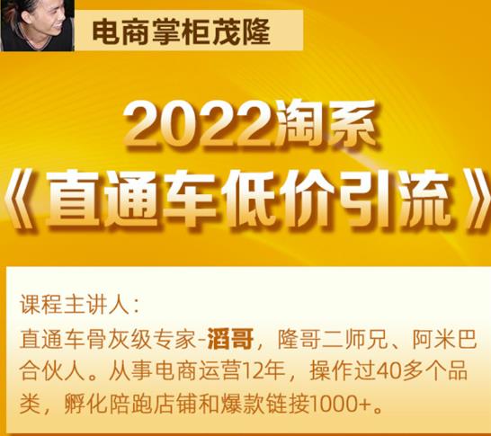 茂隆2022直通车低价引流玩法，教大家如何低投入高回报的直通车玩法|媒矿库