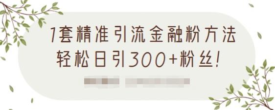 1套精准引流金融粉方法,轻松日引300 粉丝【视频课程】|媒矿库