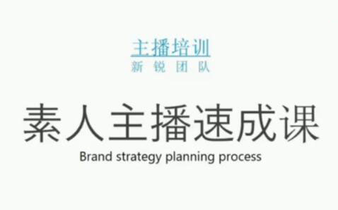 雨婷团队·素人主播两天养成计划,月销千万的直播间脚本手把手教学落地|媒矿库