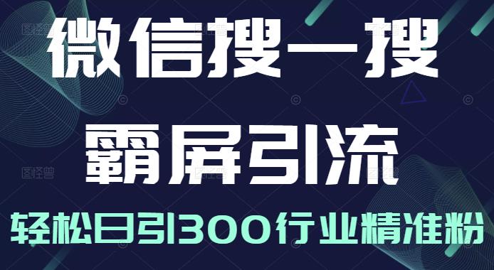 微信搜一搜霸屏引流课，打造被动精准引流系统，轻松日引300行业精准粉【无水印】|媒矿库