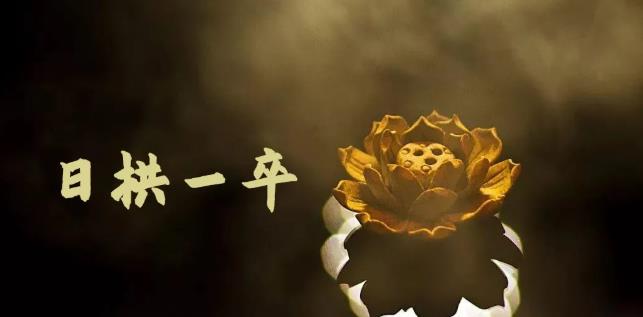 月入8000 ，无脑搬砖，普通人可以复制的副业赚钱项目(附软件)|媒矿库