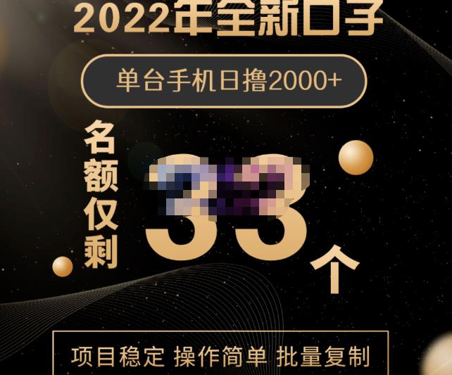 2022年全新口子,手机批量搬砖玩法,一部手机日撸2000