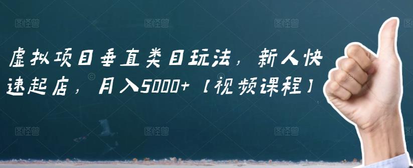 虚拟项目垂直类目玩法,新人快速起店,月入5000 【视频课程】