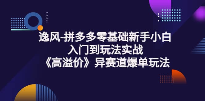拼多多零基础新手小白入门到玩法实战《高溢价》异赛道爆单玩法实操课|媒矿库