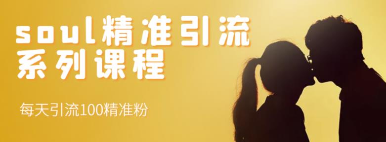 soul精准引流系列课程，每天引流100精准粉|媒矿库