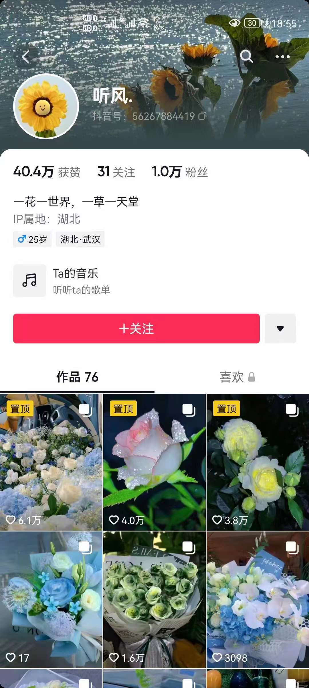图片[2]|抖音壁纸变现项目：实战日入380 发布壁纸素材获取收益！|媒矿库