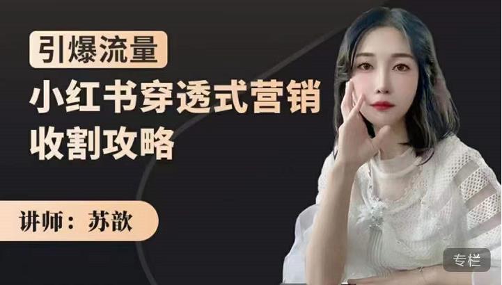 苏歆:小红书穿透式营销收割攻略,引爆流量,助你玩转小红书|媒矿库