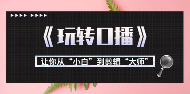 月营业额700万 大佬教您《玩转口播》让你从“小白”到剪辑“大师”|媒矿库