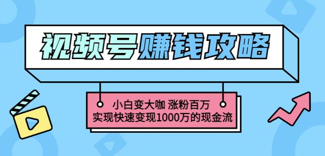 玩转微信视频号赚钱:小白变大咖涨粉百万实现快速变现1000万的现金流|媒矿库