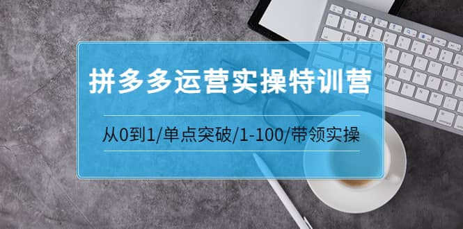 青云:拼多多运营实操特训营：从0到1/单点突破/1-100/带领实操 价值2980元|媒矿库