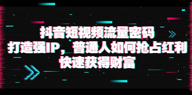 抖音短视频流量密码：打造强IP，普通人如何抢占红利，快速获得财富|媒矿库