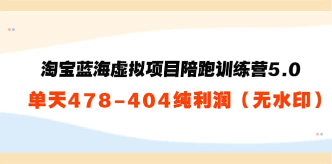 黄岛主：淘宝蓝海虚拟项目陪跑训练营5.0：单天478纯利润（无水印）|媒矿库