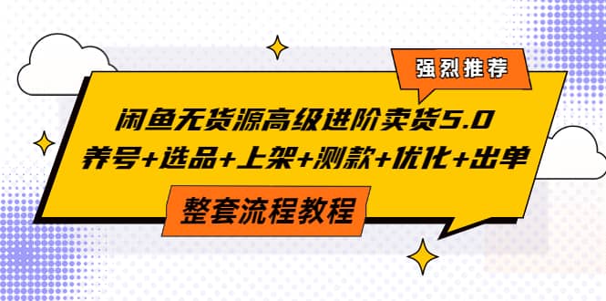闲鱼无货源高级进阶卖货5.0，养号 选品 上架 测款 优化 出单整套流程教程|媒矿库