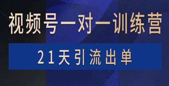 视频号训练营：带货，涨粉，直播，游戏，四大变现新方向，21天引流出单|媒矿库