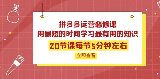 拼多多运营必修课：20节课每节5分钟左右，用最短的时间学习最有用的知识|媒矿库