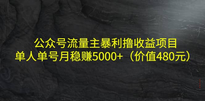 公众号流量主暴利撸收益项目，单人单号月稳赚5000 （价值480元）|媒矿库