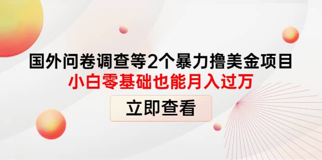 国外问卷调查等2个暴力撸美元项目，小白零基础也能月入过万|媒矿库