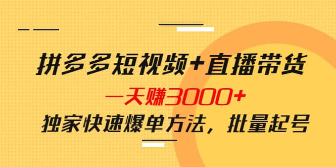 拼多多短视频 直播带货,一天赚3000 独家快速爆单方法,批量起号|媒矿库