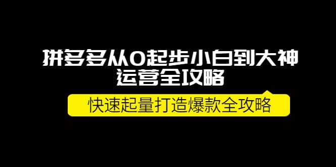 拼多多从0起步小白到大神运营全攻略|媒矿库