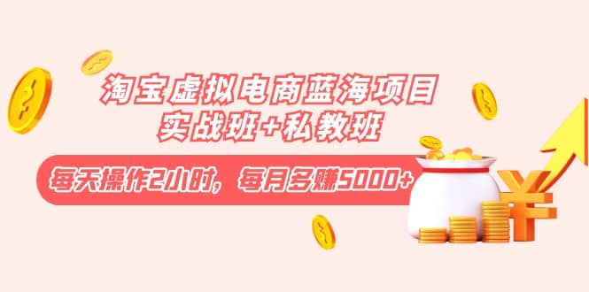 淘宝虚拟电商蓝海项目实战班 私教班|媒矿库