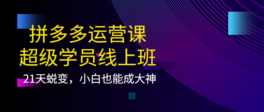 拼多多运营课：超级学员线上班，21天蜕变，小白也能成大神|媒矿库