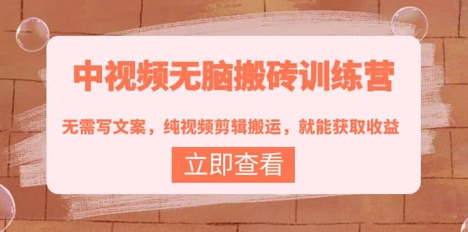 中视频无脑搬砖训练营：无需写文案，纯视频剪辑搬运，就能获取收益|媒矿库