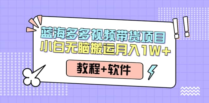 人人都能操作的蓝海多多视频带货项目 小白无脑搬运（教程 软件）|媒矿库