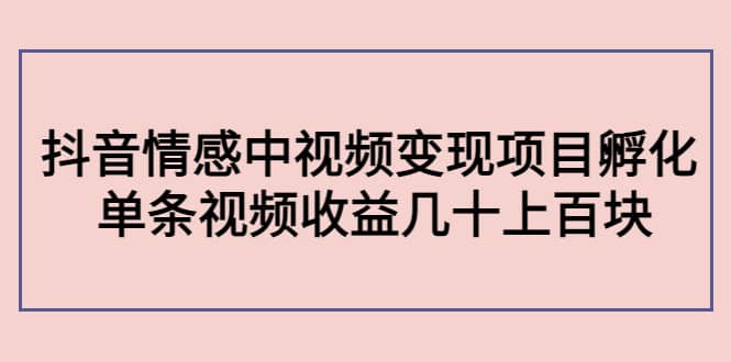 抖音情感中视频变现项目孵化|媒矿库
