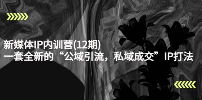 新媒体IP内训营(12期)，一套全新的“公域引流，私域成交”IP打法，直接带走|媒矿库
