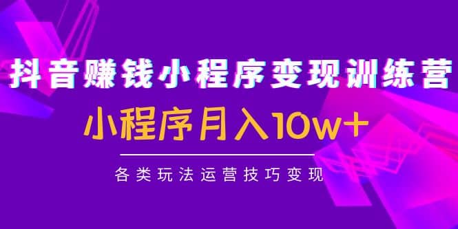 抖音小程序变现训练营：小程序各类玩法运营技巧变现|媒矿库