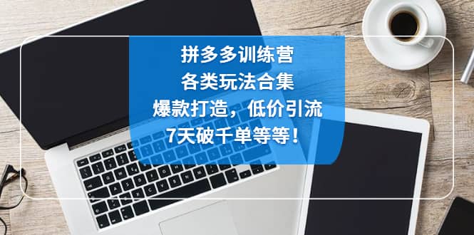 拼多多训练营：各玩法合集，爆款打造，低价引流，7天破千单等等|媒矿库