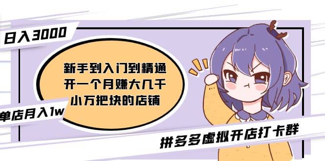 拼多多虚拟开店打卡群：新手到入门到精通|媒矿库