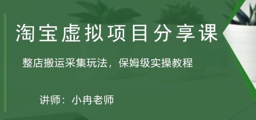 淘宝虚拟整店搬运采集玩法分享课：整店搬运采集玩法，保姆级实操教程|媒矿库