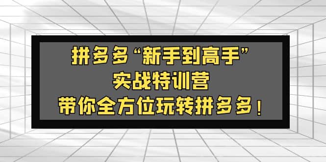 拼多多“新手到高手”实战特训营:带你全方位玩转拼多多|媒矿库