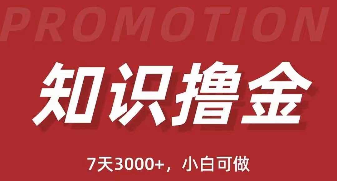 抖音知识撸金项目：执行力强当天见收益(教程 资料)|媒矿库