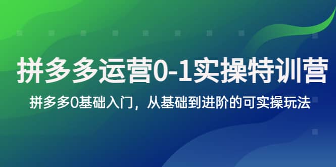 拼多多-运营0-1实操训练营,拼多多0基础入门,从基础到进阶的可实操玩法|媒矿库
