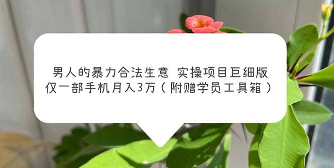 男人的暴力合法生意实操项目巨细版:仅一部手机月入3w(附赠学员工具箱)|媒矿库