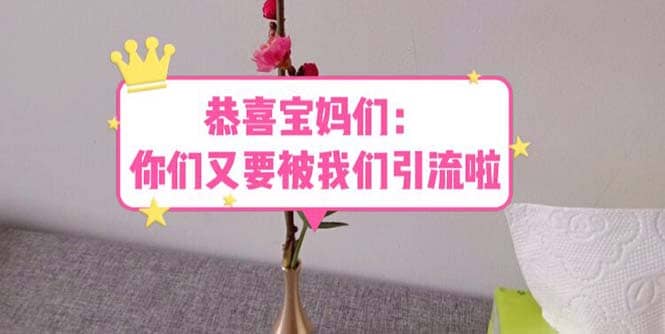 恭喜宝妈们：你们又要被我们引流了（教程 222g资料）|媒矿库