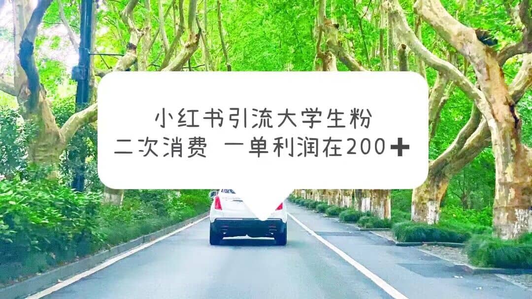小红书引流大学生粉，变现项目，一单利润在200 （教程 资源）|媒矿库