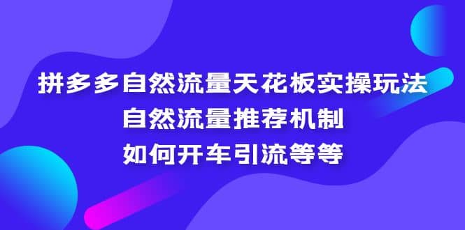 拼多多自然流量天花板实操玩法:自然流量推荐机制,如何开车引流等等|媒矿库