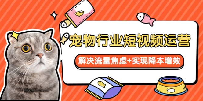 宠物/行业短视频运营 流量增长的一层窗户纸 解决流量焦虑 实现降本增效|媒矿库