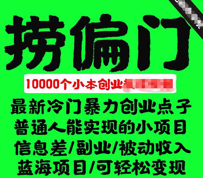千款捞偏门小本创业小项目，总有一款适合你【无水印】|媒矿库