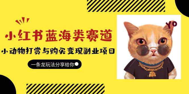 小红书蓝海类赛道:小动物打赏与购买变现副业项目,一条龙玩法分享给你|媒矿库