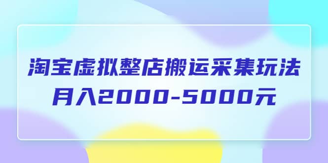 淘宝虚拟整店搬运采集玩法分享课：月入2000-5000元（5节课）|媒矿库