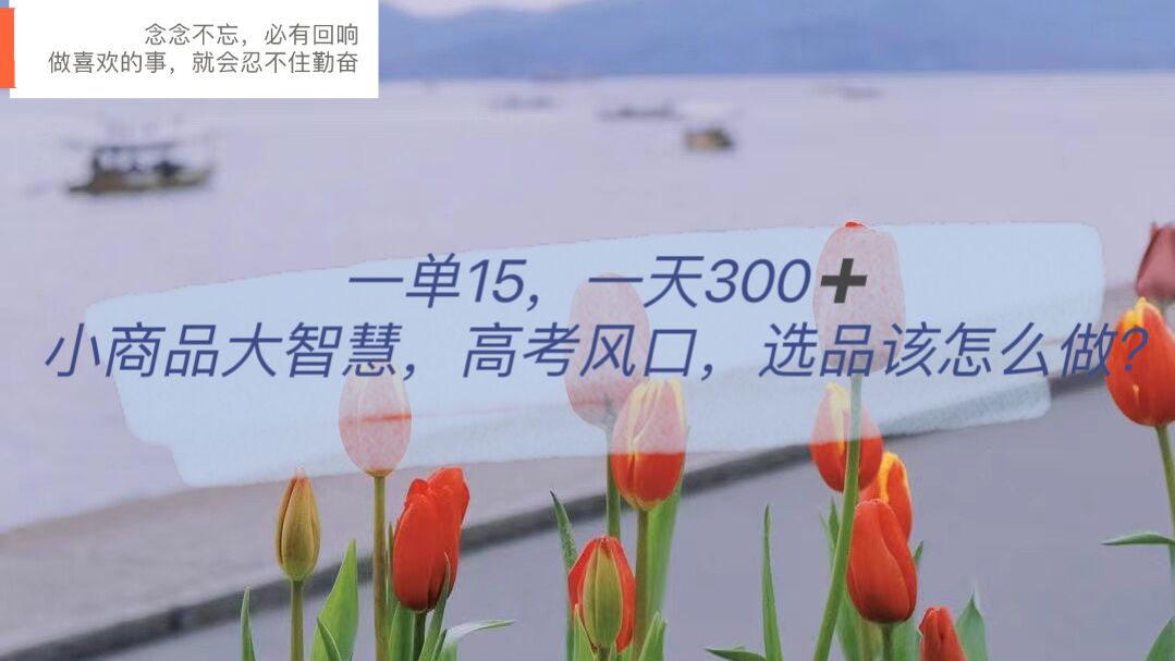 一单15，一天300 ，小商品大智慧，高考风口，选品该怎么布局|媒矿库