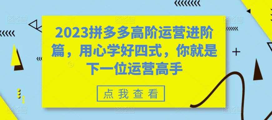 2023拼多多高阶运营进阶篇，用心学好四式，你就是下一位运营高手|媒矿库