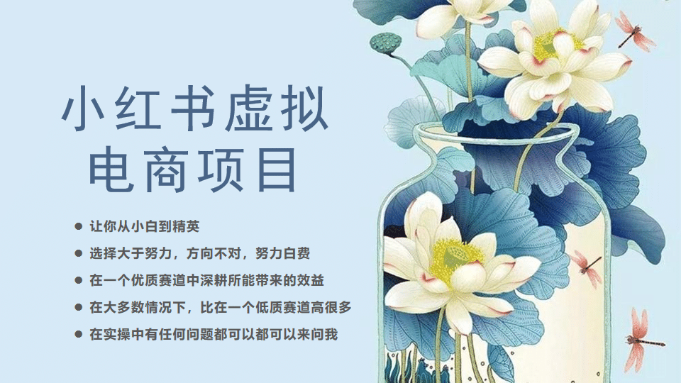 小红书虚拟电商从0到1，让你从小白到精英（20节实操课程）|媒矿库