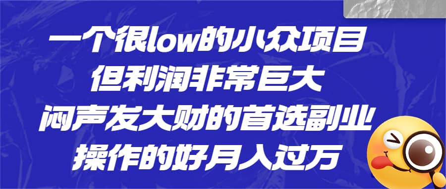一个很low的小众项目，但利润非常巨大，闷声发大财的首选副业，月入过万|媒矿库